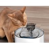 Automatinis dubenėlis su filtru, 2,2L