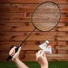Badmintono rinkinys Vilde, 61 cm, 4 raketės, 8 plunksnos