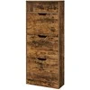 Songmics Batų spintelė 3 skyrių 24x60x139 cm ruda