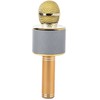 Belaidis mikrofonas su Bluetooth ir karaoke garsiakalbiu bei dėklu, 22 cm, auksinis