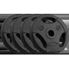 Bituminių svarelių rinkinys 4x2.5kg, skylė 31mm, plokštė su rankenomis, REBEL ACTIVE