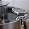 Browin Mėsos termometras Bioterm, 20 °C-300 °C