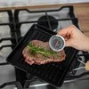 Browin Mėsos termometras Bioterm, 20 °C-300 °C