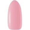 Activeshop Claresa french hibridinis lakas 2 -5g