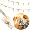 Dekoratyvinė girlianda Springos 20 LED, 2,85 m