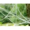 Dekoratyvinis voratinklis su vorais Helovinui