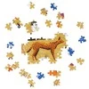 Dėlionė su katėmis, 1000 detalių, CzuCzu Puzzlove