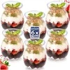 Orion Jogurto ir deserto taurės 160 ml 6 vnt.