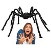 Didžiulė Helovino tarantulas dekoracija