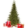 Springos Dirbtinė eglutė Royal Trees Himalajų eglė 180 cm
