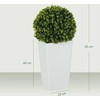 Dirbtinė eukalipto sfera 65 cm