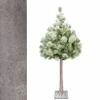 Dirbtinė Kalėdų eglutė su apšvietimu Springos CL0860, 128 LED, 150 cm, su sniego efektu