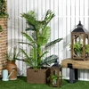 Dirbtinė palmė HOMCOM, dekoratyvinis augalas, su cementiniu pagrindu, 150 cm, naudojimui viduje, žalia