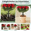 Dirbtinės pelargonijos 57 x 33 cm 2 vnt.