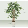 Dirbtinis banyan medis 55 x 55 x 120 cm