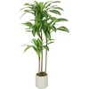 Dirbtinis dracena medis 120 cm