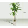 Dirbtinis dracena medis 120 cm