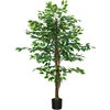 Dirbtinis augalas HOMCOM, 150 cm, su vazonu, dirbtinės samanos, dirbtinis Ficus medis, kambarinis augalas svetainei, žalias