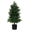 Dirbtinis kedras 80 cm