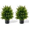 Dirbtinis kedro formos kamuolys 54,6 cm 2 vnt.