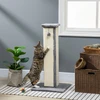 PawHut draskyklė 81 cm aukščio draskyklė iš sizalio su kamuoliuku, idealiai tinka katėms iki 5kg, skirta naudoti patalpose, pilkos ir kreminės spalvos