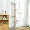 PawHut Katės draskyklė, 5 pakopų dizainas, žaislas, sizalio stulpelis, pliušinis audinys, šviesiai pilka