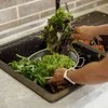 Excellent Houseware Nerūdijančio plieno koštuvas su dubeniu 20 cm