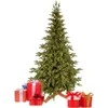 Springos Eglutė Royal Trees® Himalajų 210 cm