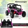 Elektrinis automobilis Rožinis