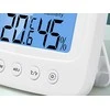Bikuva.lt Thermometer hygrometer electronic internal clock