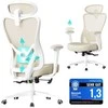 Ergonominė biuro kėdė su reguliuojama atrama