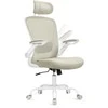 Songmics Ergonominė biuro kėdė su tinkleliu, kapučino spalvos
