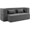 HOMCOM dvivietė porolono sofos lova, sofa-lova su plačiais porankiais, 2 pagalvės, 360 kg keliamoji galia, pilka