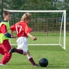 Futbolo vartai 183 x 120 cm