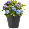 Mondex Juodas apvalus plastikinis gėlių vazonas 39 cm - Sodo vazonas