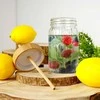 Excellent Houseware Stiklinis gėrimo stiklainis su bambuko dangteliu ir šiaudeliu 500 ml