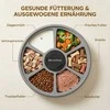 Gertuvė Automatinis maisto dozatorius baltas ir pilkas
