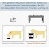 "PawHut" dubuo šunims su 2 dubenėliais, 2 l talpos maisto dubuo, paaukštintas kačių maisto dubuo, lengvai prižiūrimas, nerūdijančio plieno pilkos spalvos, 58,4 x 30,5 x 25,4 cm