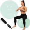 Springos Gimnastikos kamuolys 65 cm