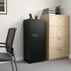 Ginklų seifas 6 ginklams su elektronine kodine spyna, juodas, 48 × 38,5 × 130 cm