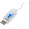 Girlianda- užuolaida Vilde 300 LED su pultu 3 m