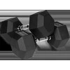 Gumuoti ketaus hanteliai HEX 2x15 kg REBEL ACTIVE