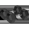 Gumuoti ketaus hanteliai HEX 2x15 kg REBEL ACTIVE
