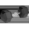 Gumuoti ketaus hanteliai HEX 2x10kg, REBEL ACTIVE