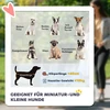 PawHut 2 viename šunų vežimėlis sulankstomas šunų ir kačių vežimėlis iki 10 kg, kačių vežimėlis su pagalve, tinkleliais, durimis, laikymo krepšeliu, kačių vežimėlis, tamsiai žalias