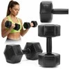 Springos Hanteliai 2 x 10 kg