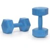 Springos Hanteliai 2,5kg 2 vnt.
