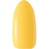 Activeshop Hibridinis lakas Ocho Nails, R01, 5 g