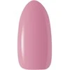 Activeshop Hibridinis nagų lakas Ocho, 307, 5 g