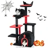 Kačių draskyklė 134.6 cm